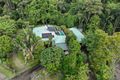 Property photo of 30 Bushbird Court Diddillibah QLD 4559