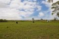 Property photo of 71 Ti Tree Road East Booral QLD 4655