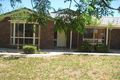 Property photo of 9 Padman Court Berri SA 5343