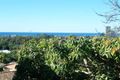 Property photo of 6 Bindoon Close Elanora QLD 4221