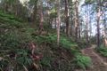 Property photo of 29 Viewland Drive Doonan QLD 4562