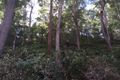 Property photo of 29 Viewland Drive Doonan QLD 4562