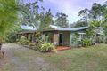 Property photo of 4263 Black Mountain Road Julatten QLD 4871