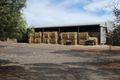 Property photo of 46 Vivian Bullwinkel Drive Kapunda SA 5373