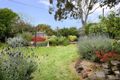 Property photo of 24 Serpentine Street Mont Albert VIC 3127