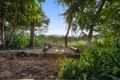 Property photo of 88 Jacksons Road West Woombye QLD 4559