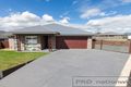 Property photo of 29 Threadtail Street Chisholm NSW 2322