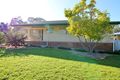 Property photo of 31 Blackett Avenue Young NSW 2594