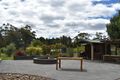 Property photo of 84 Upper Scamander Road Scamander TAS 7215