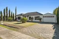 Property photo of 51 Harvey Avenue Netley SA 5037