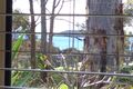Property photo of 18 Tinarra Close Lilli Pilli NSW 2536