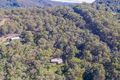 Property photo of 119 Little Nerang Road Mudgeeraba QLD 4213