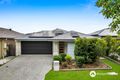 Property photo of 24 Granite Street Yarrabilba QLD 4207