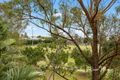 Property photo of 3 Riverine Drive Springfield Lakes QLD 4300