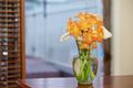 Property photo of 18 Evelyn Crescent Thornton NSW 2322