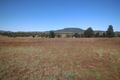 Property photo of 8 Denora Avenue Gunnedah NSW 2380