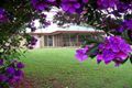 Property photo of 281 Storrs Road Peachester QLD 4519