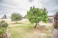 Property photo of 31 Freeling Street Naracoorte SA 5271
