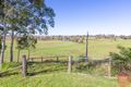 Property photo of 17 Walter Parade Black Hill NSW 2322