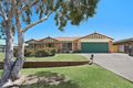 Property photo of 7 Arborwood Avenue Springfield QLD 4300