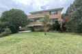 Property photo of 5/35 Charlotte Street Ashfield NSW 2131