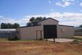 Property photo of 71 Merton Street Boggabri NSW 2382