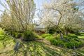 Property photo of 1446 Burrows Road Lavington NSW 2641