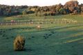 Property photo of 302 Browns Road Fingal VIC 3939