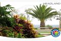 Property photo of 7/268 Alexandra Parade Alexandra Headland QLD 4572