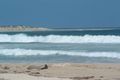 Property photo of 26 Boulder Bay Road Fingal Bay NSW 2315