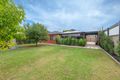 Property photo of 29 St Levans Place Lavington NSW 2641