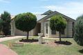 Property photo of 18 Tabard Avenue Brompton SA 5007