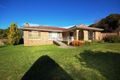 Property photo of 4797 Waterfall Way Fernbrook NSW 2453