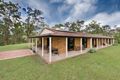 Property photo of 177 Mount Nebo Road The Gap QLD 4061
