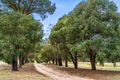 Property photo of 586 Bulgas Road Emu Swamp NSW 2800