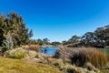 Property photo of 65 Rollston Street Amaroo ACT 2914