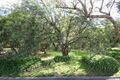 Property photo of 16 The Greenway Heathmont VIC 3135