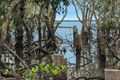 Property photo of 45 Perulpa Drive Lamb Island QLD 4184