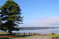 Property photo of 1 Yaralla Road Toukley NSW 2263
