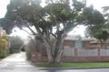 Property photo of 51B Weymar Street Cheltenham VIC 3192