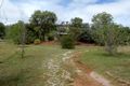 Property photo of 26 Brooklyn Park Road Nemingha NSW 2340