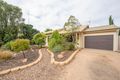 Property photo of 169 Balmoral Road Risdon Park SA 5540