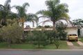 Property photo of 94 Elkhorn Avenue Bellara QLD 4507