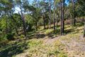 Property photo of 70 Hillside Parade Boomerang Beach NSW 2428