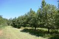 Property photo of 28 Cook Road Glass House Mountains QLD 4518