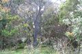 Property photo of 1B Helen Drive Copacabana NSW 2251