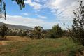 Property photo of 6 Mitchell Street Tumbarumba NSW 2653