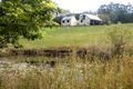 Property photo of 224 Irvines Road Newee Creek NSW 2447