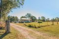 Property photo of 25 Collett Street Tucabia NSW 2462