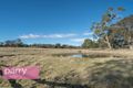 Property photo of 12 Devon Hills Road Devon Hills TAS 7300
